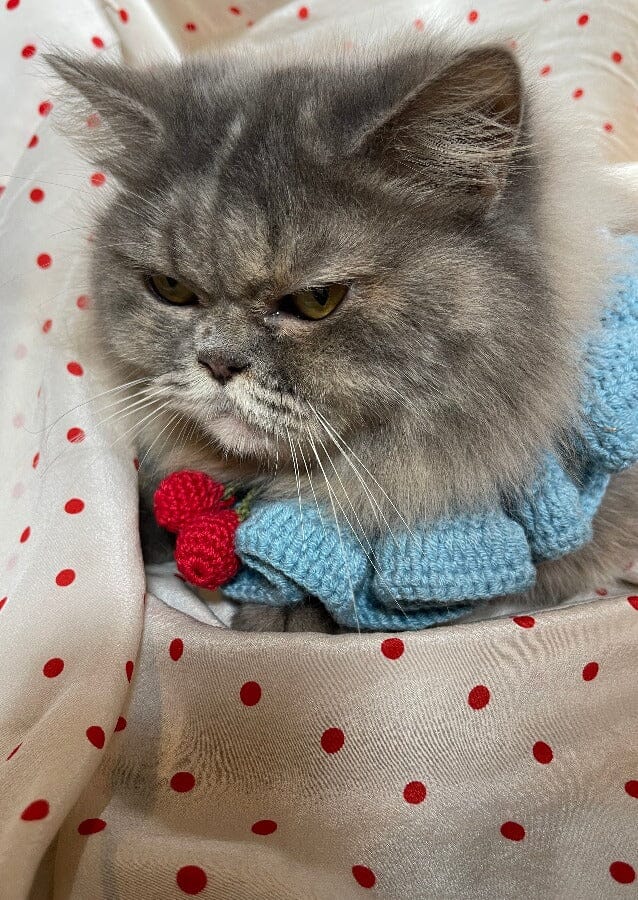 Collier Yvonne Aventurine