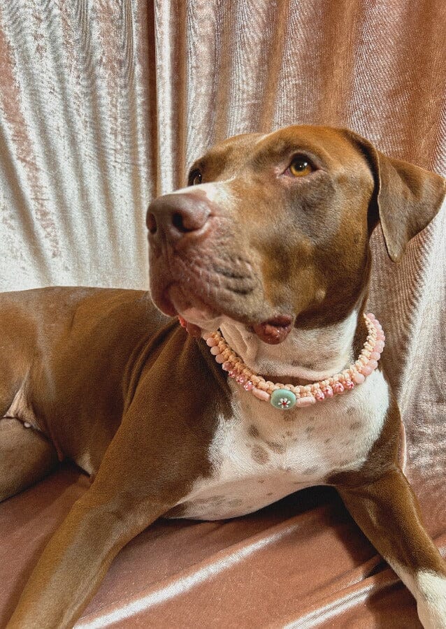 Collier "GEORGES" Quartz Rose