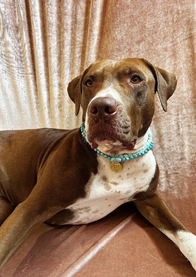 Collier "GEORGES" Turquoise