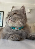 Pet collar "MOCHI" Turquoise